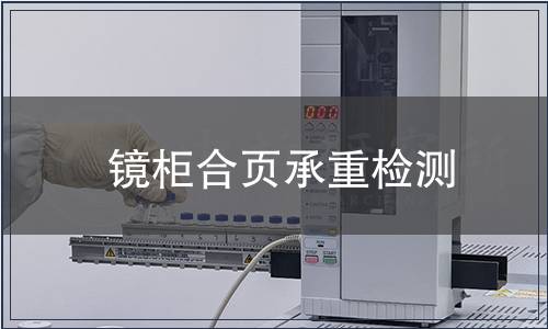 鏡柜合頁承重檢測
