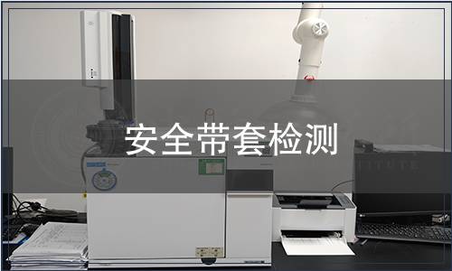 安全帶套檢測(cè) 安全帶套檢測(cè)