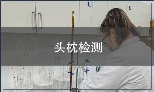 頭枕檢測 頭枕檢測